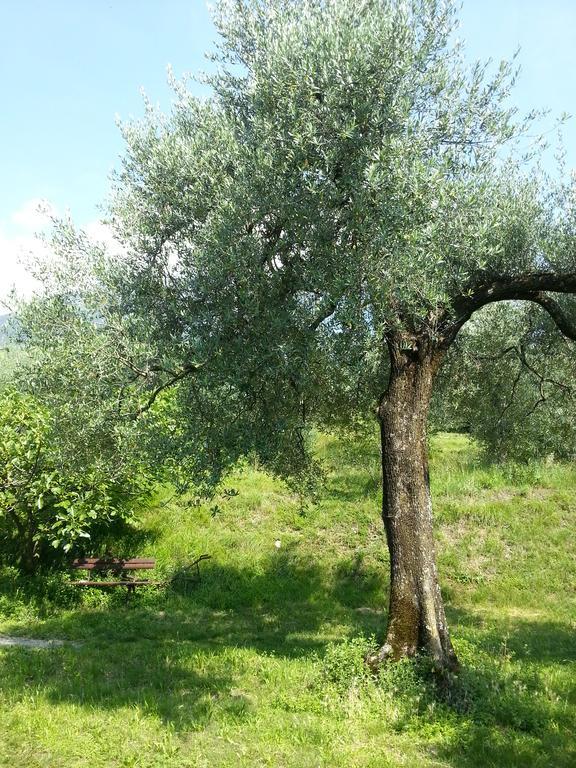 Ca' Dei Gatti Villa Toscolano Maderno Bagian luar foto
